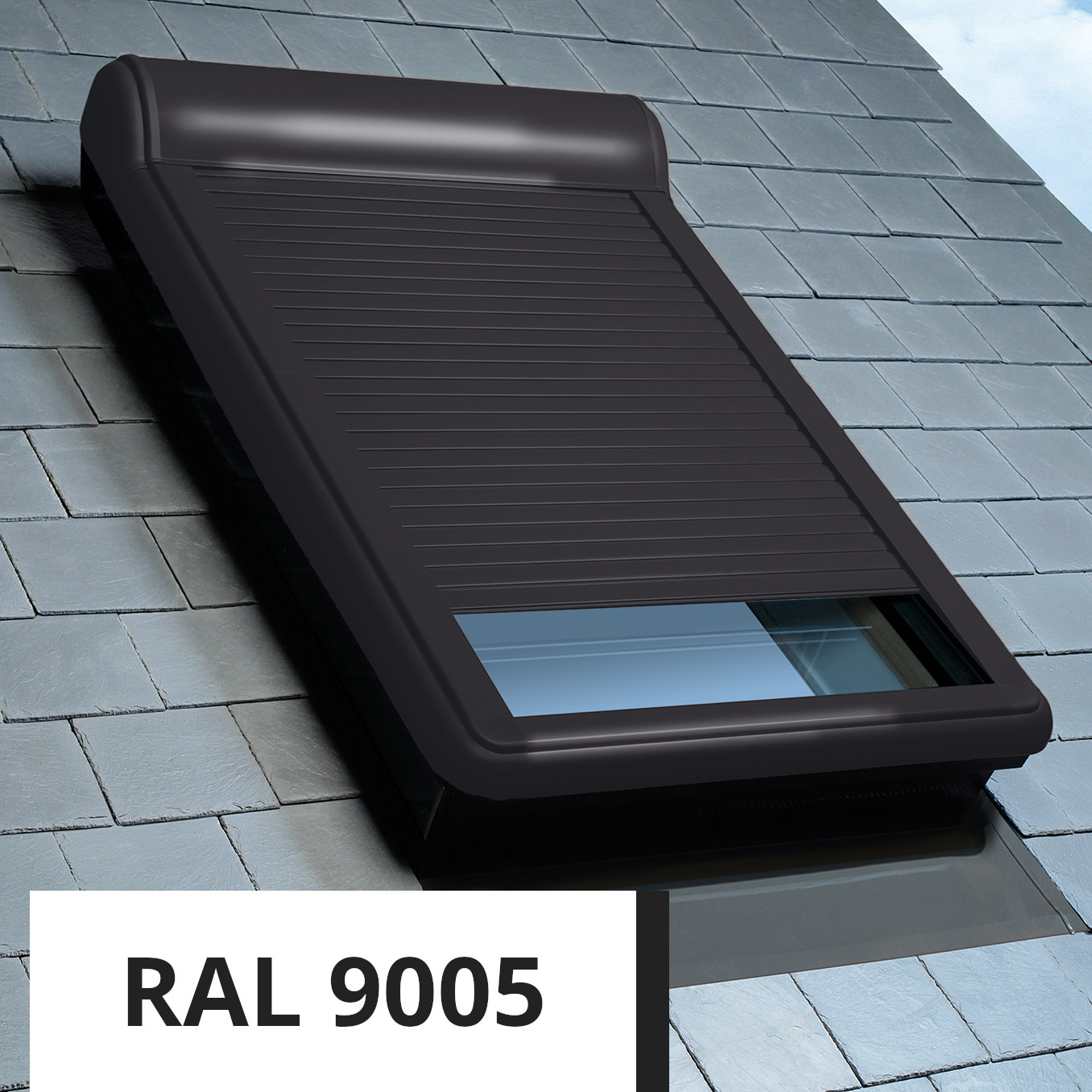 RAL9005
