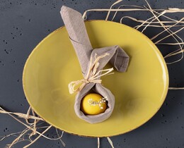 Set di 6 tovaglioli 42x42 cm 173-86