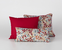 Bellissimo fiore del salone Red Popy Flower
