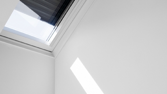 
										Tapparelle VELUX
																						