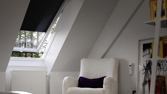 
										Tapparelle VELUX
																						