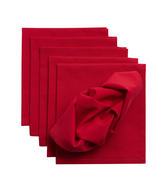 Set napkins 6 pcs 42 x 42 Quadro 136-19