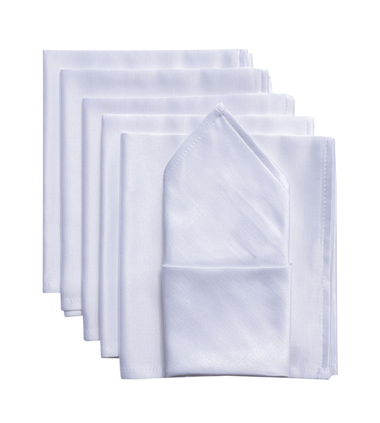 Set napkins 6 pcs 42 x 42 Damasco 141-78