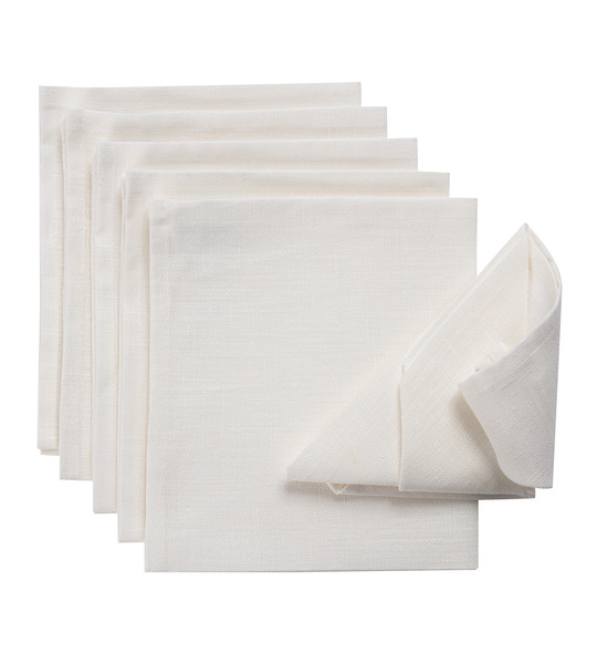 Set napkins 6 pcs 42 x 42 Linen 392-04